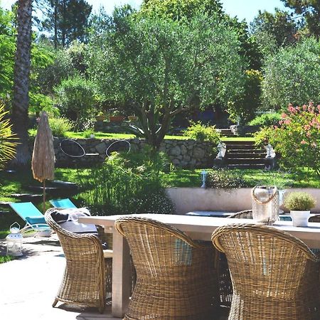 Chambres D'Hotes Villa Cardabella Le Tignet エクステリア 写真